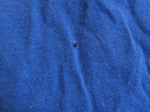 Vintage Kentucky Wildcats 2012 NCAA National Champions Graphic T-Shirt Men's XL - Bild 4 von 8