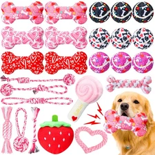 25 Pcs Valentines Dog Toys Set Dog Tennis Balls Squeaky Bone Toys Dog Rope To...