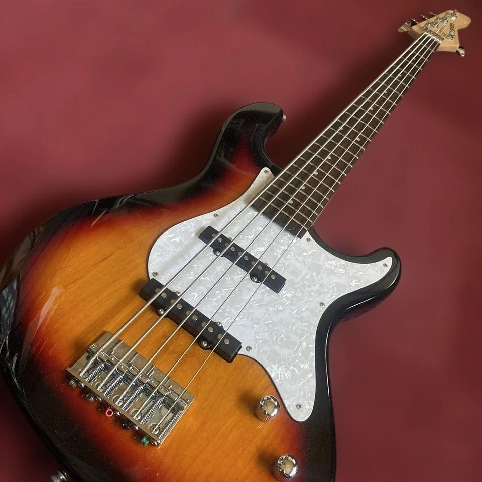 Bajo Fernandes de 5 cuerdas ¡Embalaje seguro! Foto 3 de 4