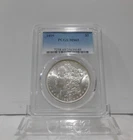 1899-P  MORGAN Silver Dollar, PCGS MS-65!