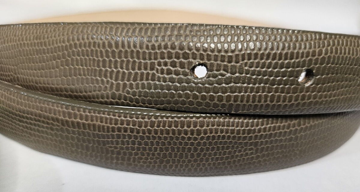 Vintage Carlisle Snakeskin Leather Belt with Silver Semi Studded Buckle Small Snakeskin Silver Belts for Women for sale | eBay main image 3