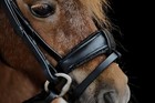 Bild 6 von 12