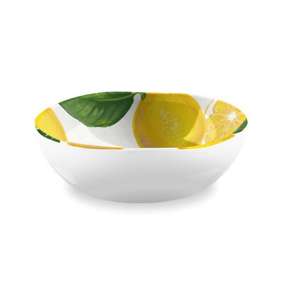 Epicurean Zitrone frisch Outdoor/Camping/BBQ-Kunststoff/Melamin Schüssel Set für eine