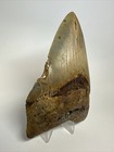 Foto 3 di 8