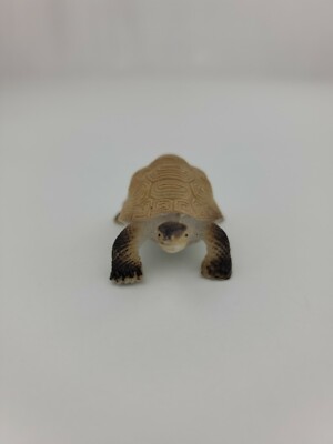 K&M Int Tortoise Realistic Animal 2