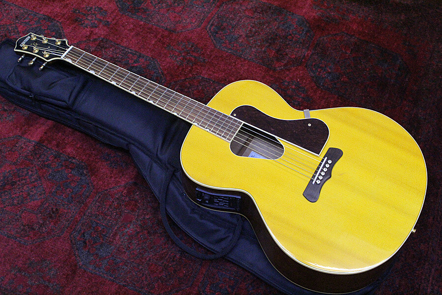 gretsch historic series g3713