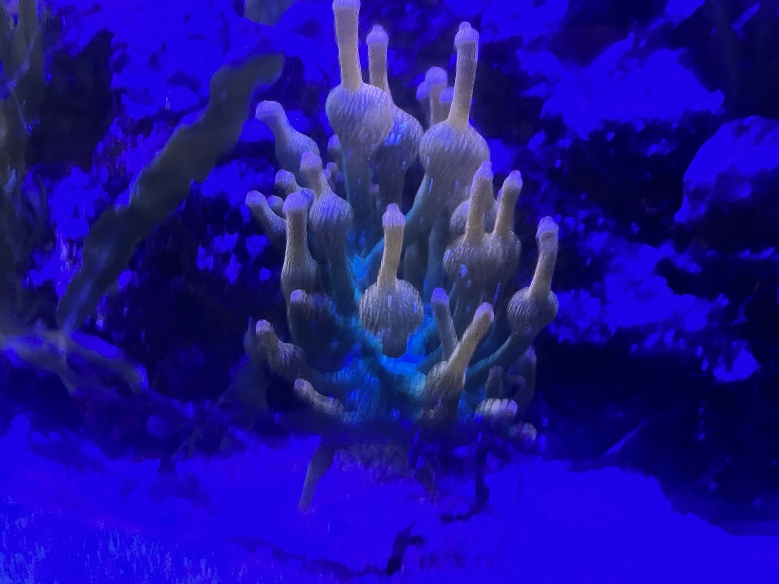 Picture 4 of 9