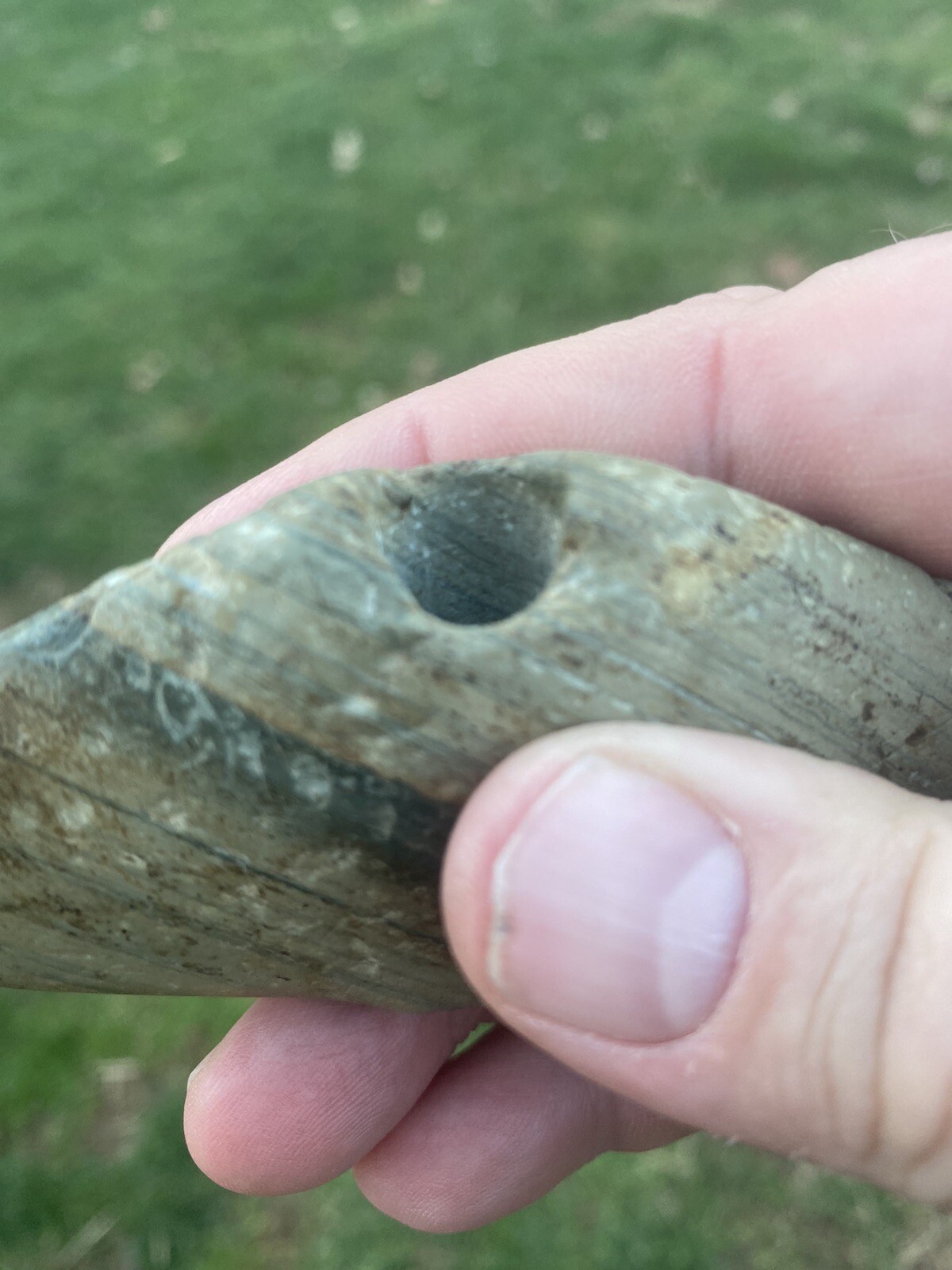 RARE Winged Bannerstone Perry co KY arrowheads Indian artifacts Davis COA eBay