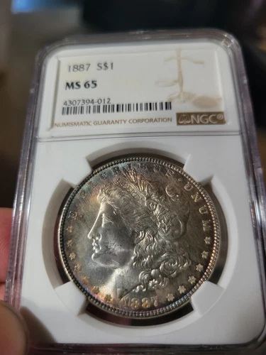 1887 $1 Morgan Dollar NGC MS65 Toned