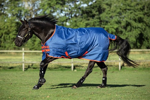 Horseware Mio Turnout Rug 600d Mediumweight 200g Blue/Red Black/Aqua 3'9"-7'0" - 第 4/9 張圖片