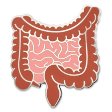 PinMart's Human Organ Intestines Medical Enamel Lapel Pin