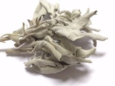 White Sage Smudge Sticks - Californian Sage, Native Desert Sage