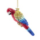 Noble Gems™ Glass Scarlet Macaw Ornament NBX0023  w