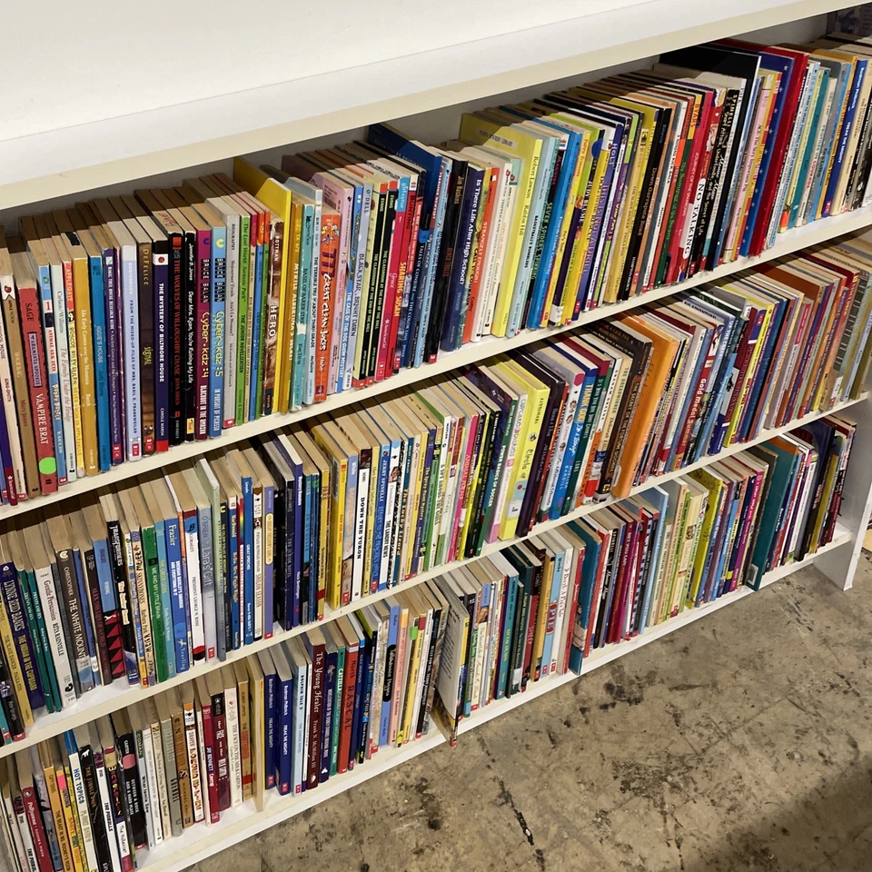 Bulk/Huge Lot of 100 of Children's Kids Chapter Books - Random - Free Shipping! Foto 3 de 4