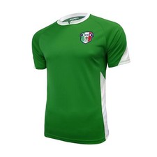 Icon Sports Men's MEXICO STADIUM CLASS Green Short Sleeve Team Jerseys: M-XL