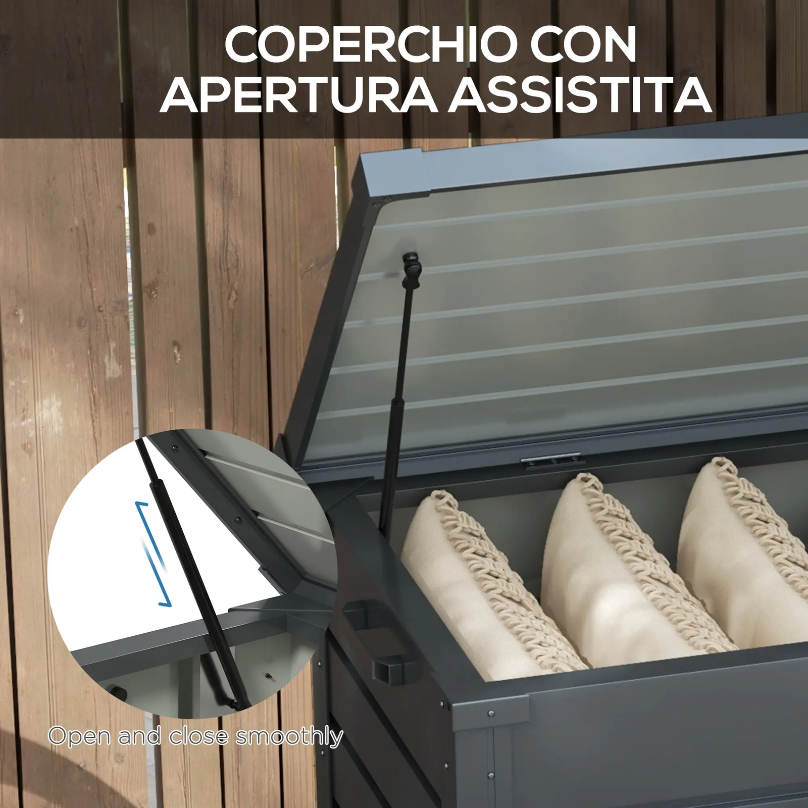 Imagen 6 de 11