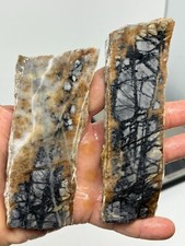 Picasso Marble (Jasper) Rough Slabs Cabbing Lapidary Reiki Chakra Utah