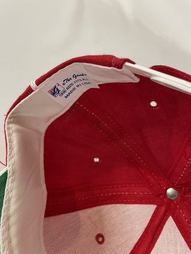 Vintage The Game Detroit Red Wings Hat Snapback Rare NHL Official Hockey Genuine - Picture 5 of 5