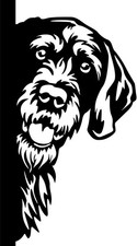 DEUTSCH DRAHTHAAR Aufkleber - Autoaufkleber -sticker- Deutsch Drahthaar Kopf #66