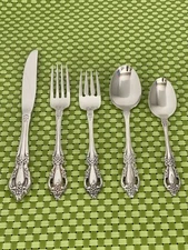 Oneida RAPHAEL Stainless Distinction Deluxe Glossy Flatware SMART CHOICE A25G