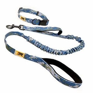 jump bungee leash