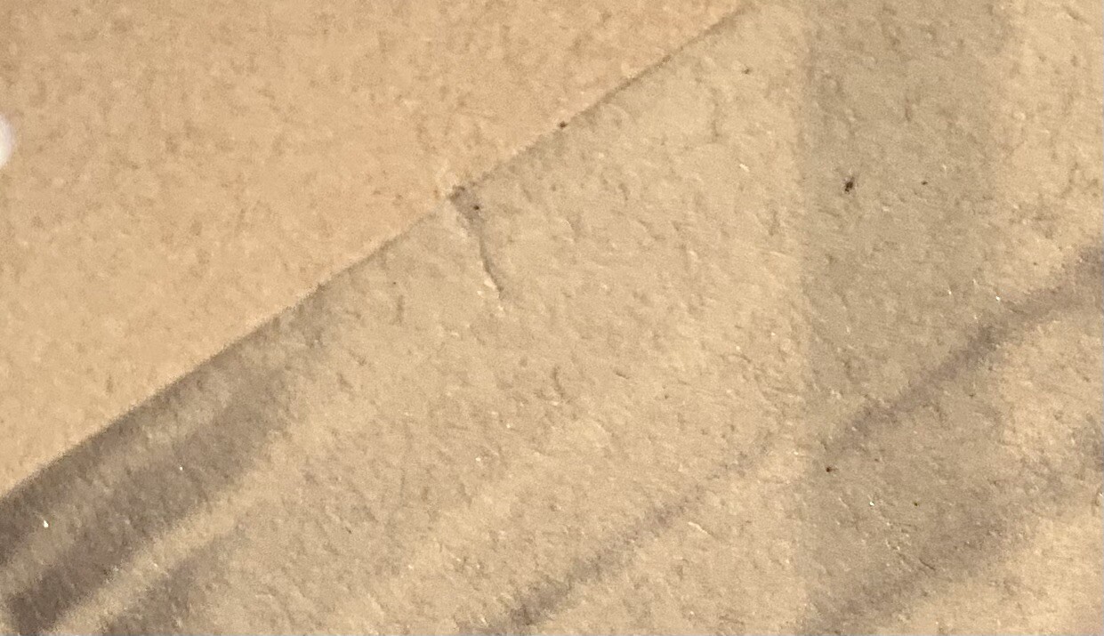 Picture 6 of 8