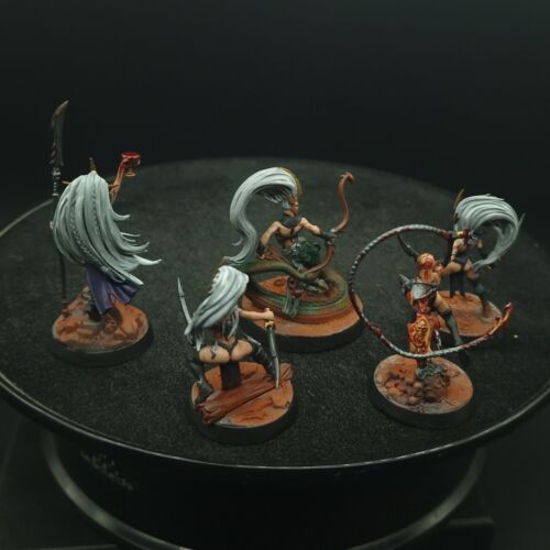 Pro Painted Warhammer AoS Warcry Daughters Of Khaine Warband Games Workshop 40k - Picture 5 of 6