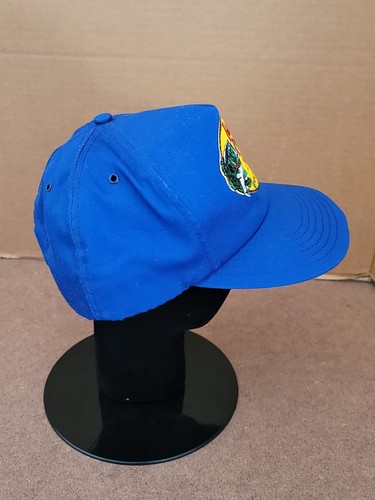 Sombrero de Camionero Parche Bass Pro Shops De Colección Hecho en EE. UU. Springfield MO SnapBack - Imagen 5 de 8