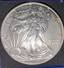 2020 American Silver Eagle 1 Troy Oz. .999 Fine One Dollar AE120