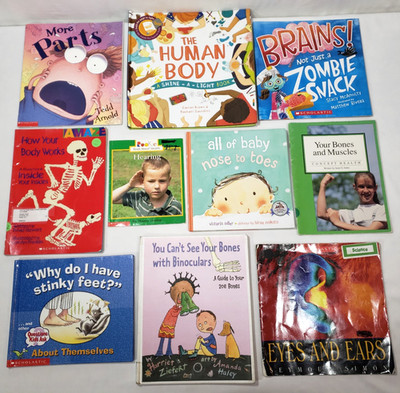Kids Books About Anatomy Lot Of 10 Health Human Body Skeleton Homeschool Teacher