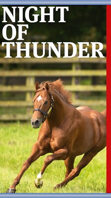 Horse racing photo, stallions,thoroughbreds ascot, breeders cup,farms, cup