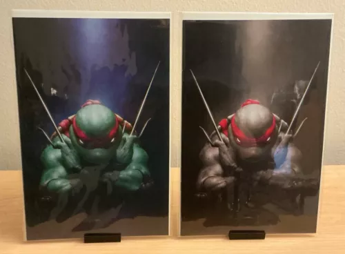 Teenage Mutant Ninja Turtles #1 Rahzzah Exclusive Variant A & B Set NM