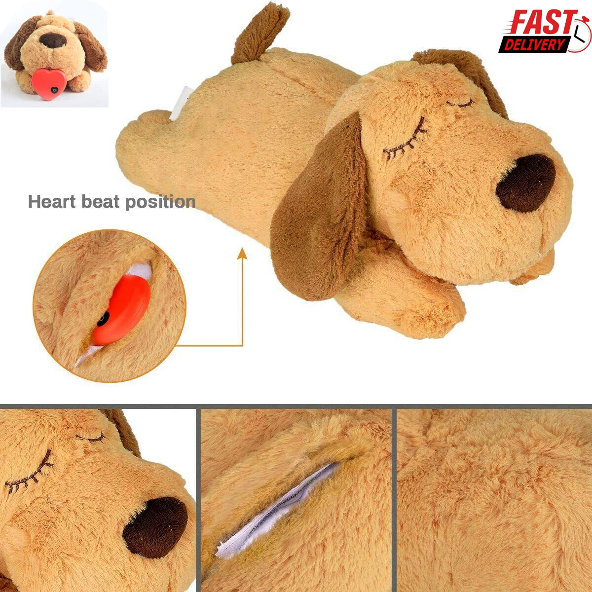 Do Puppies Have A Rapid Heartbeat