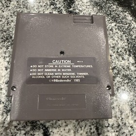 Astyanax Nintendo Entertainment System NES 1990