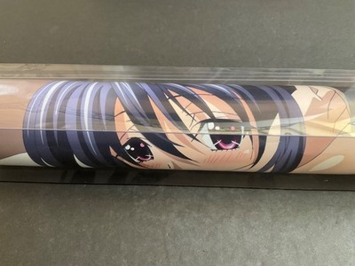 High School DXD Bath Poster - Akeno and Asia Lingerie - Japan 2013 - Very Rare!