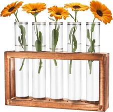 Desktop Glass Plant Propagation Station W/ 5 Test Tubes in Wooden 5 Tubes Clear