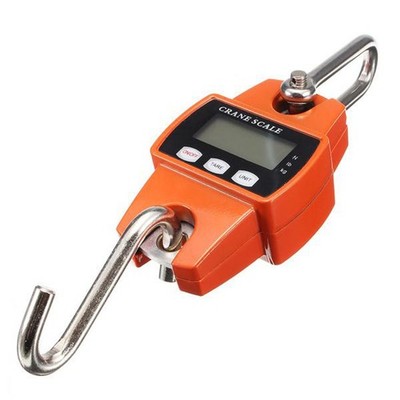 Mini tragbare elektronische digitale Kranskala 300 kg mit LED