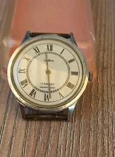 Vintage Watch Chaika 17 Jewels Mechanical Soviet Men's