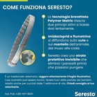 Foto 3 di 3