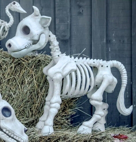 Red Shed Cow Skeleton Halloween Lawn Decoration Tractor Supply Tik Tok NEW - Afbeelding 1 van 8