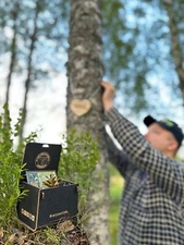 YOUR VERY OWN TREE AS A GIFT ! PROTECT FORESTS BUY A TREE ! A PIECE OF FINLAND !