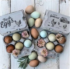 Half Dozen Empty Egg Cartons- 15 Full Dozen Can Split to 30 Half Dozen Size C...