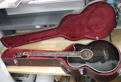 Michael Kelly Dragonfly 5-String Acoustic-Electric Bass Guitar | eBay