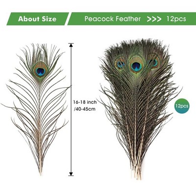 THARAHT 24pcs Peacock Feathers Peacock Swords Long Natural in Bulk