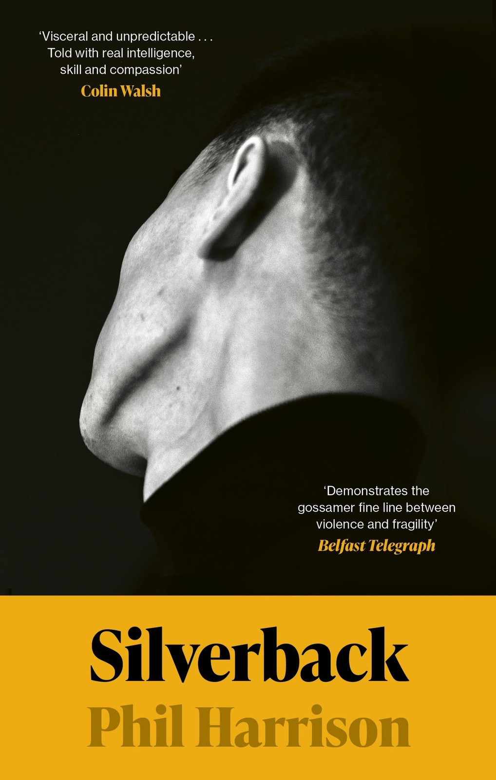 Silverback: 'A dark unnerving tale' (John Boyne) - Image 2