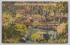 Postcard Dickson Azalea Park Orlando Florida 1940
