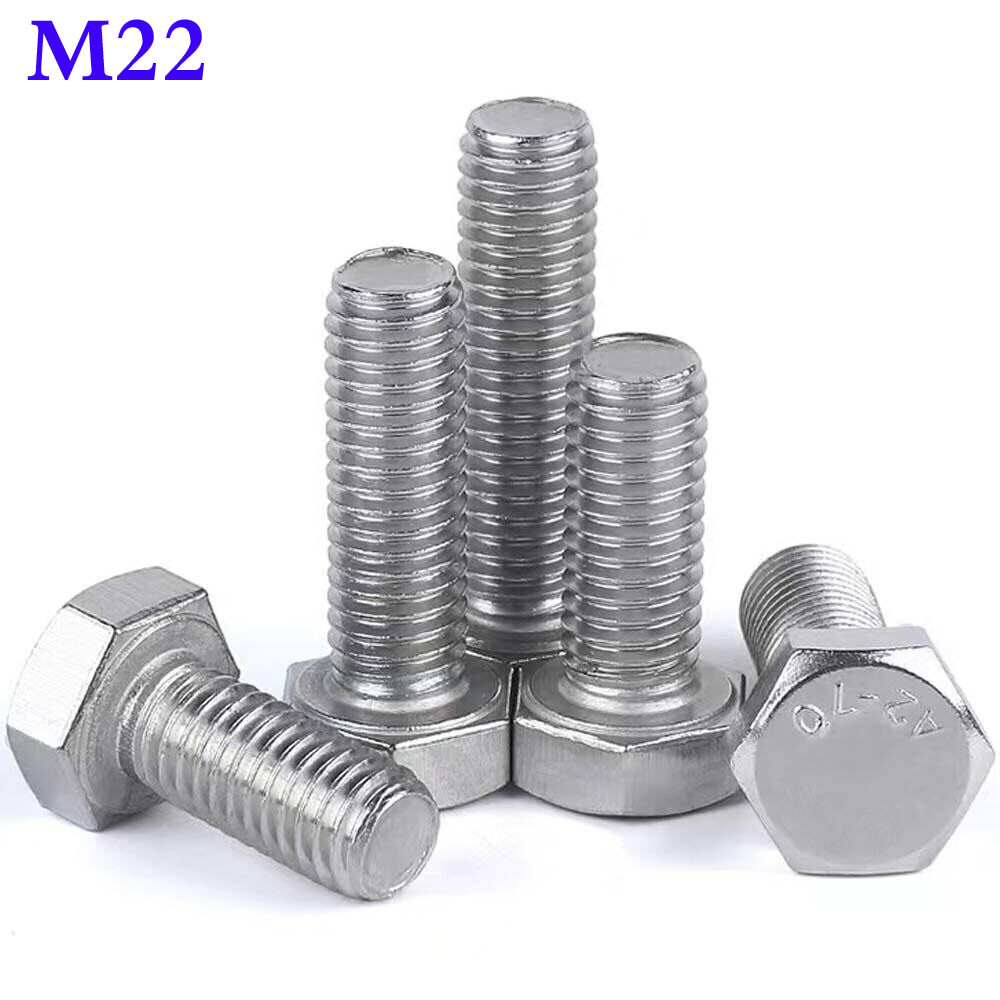 M22 -2.5 Stainless Steel Fully Threaded Hex Head Bolts Hexagon Cap