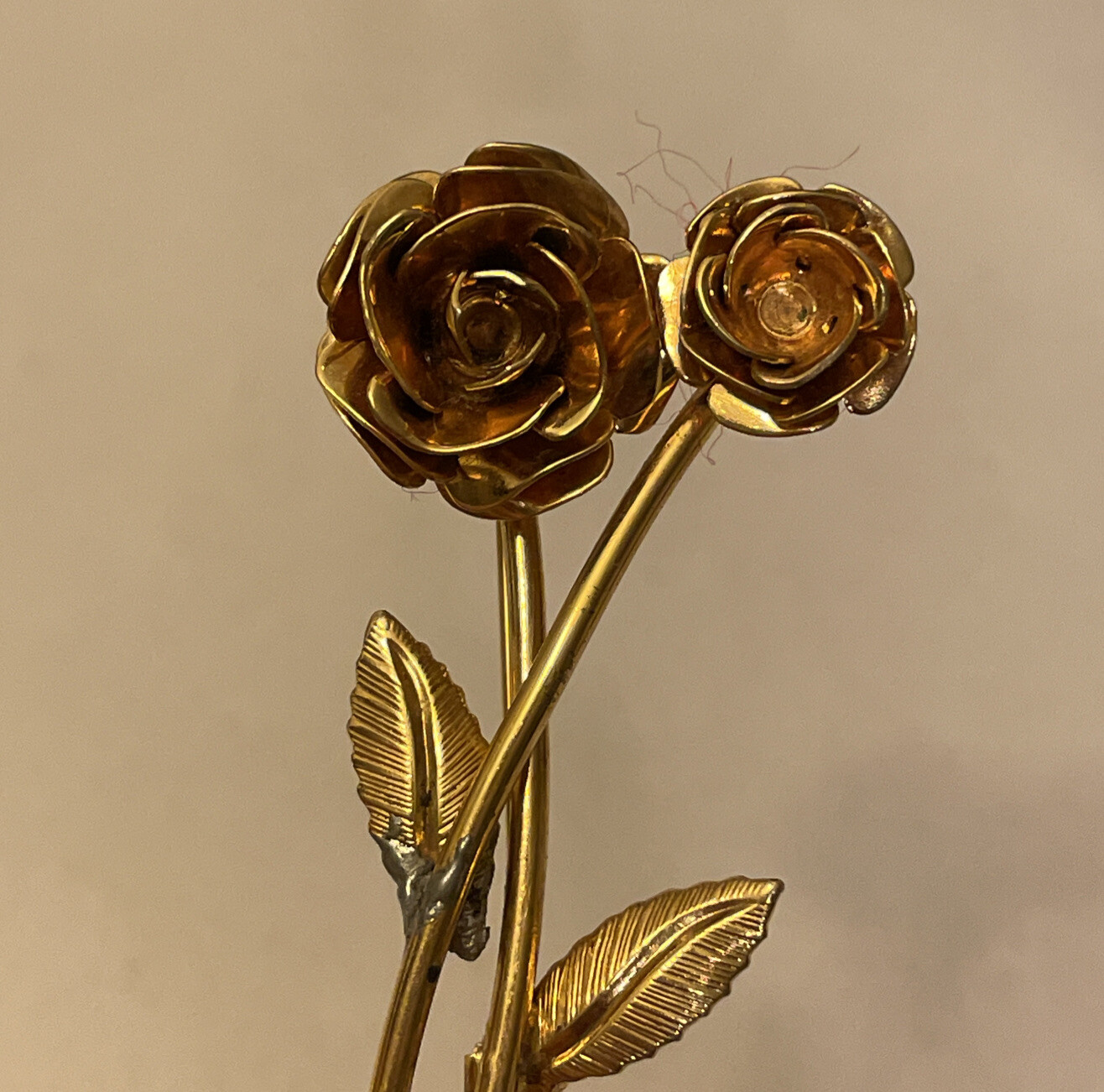 Vintage Roses Pin | eBay