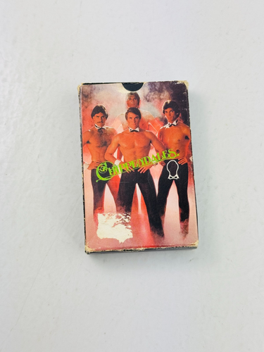 VTG 1982 Chippendales Male Dancers Poker Gambling Deck Playing Cards -Complete - Picture 3 of 7