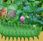 Bild 2 von 5